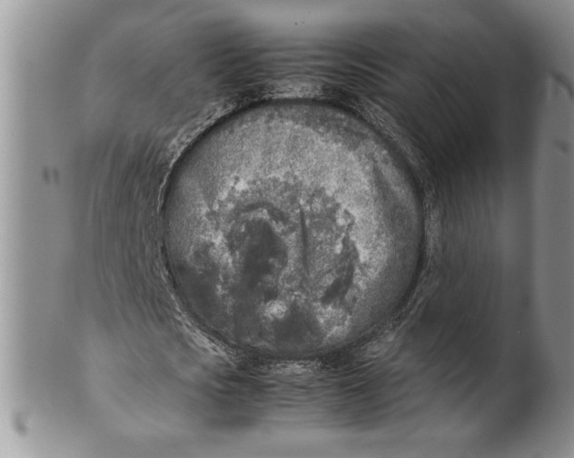 X0000099930721200806131402