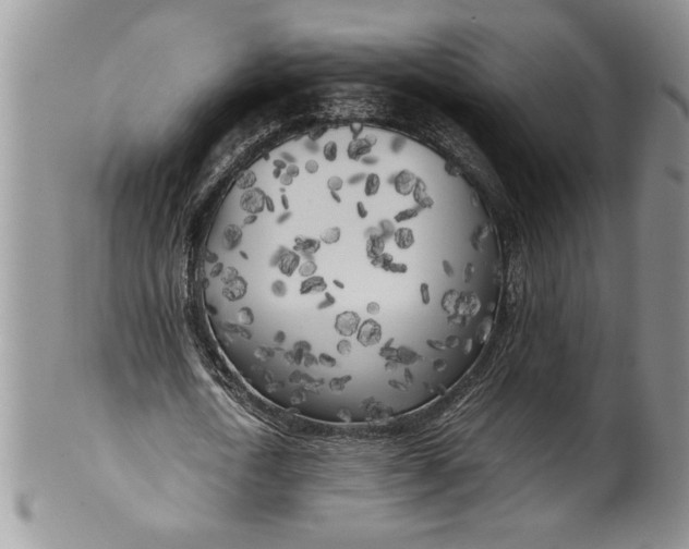 X0000099930722200806131402