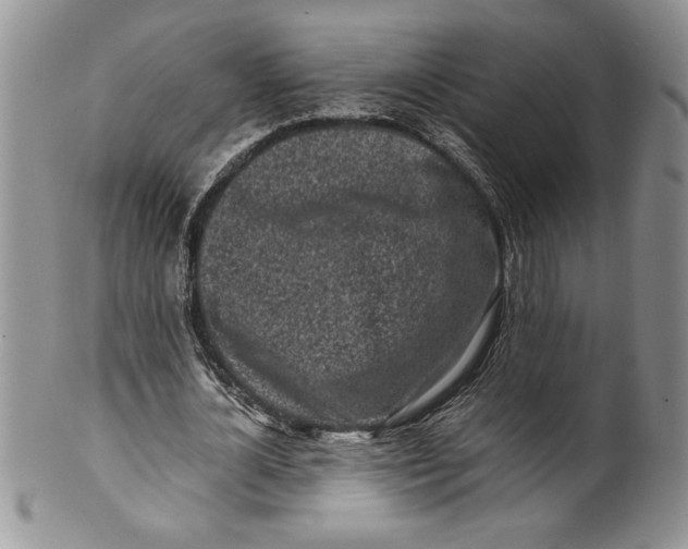 X0000099930724200806131402