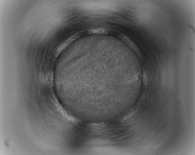 X0000099930725200806131402