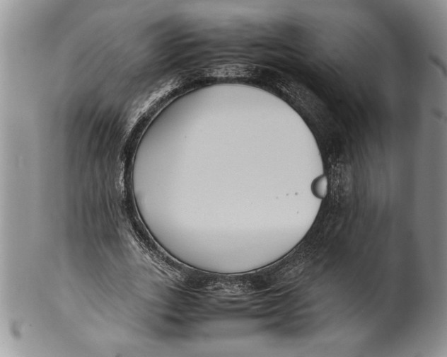 X0000099930727200806131402