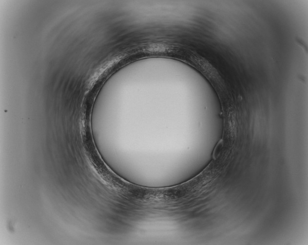 X0000099930728200806131402