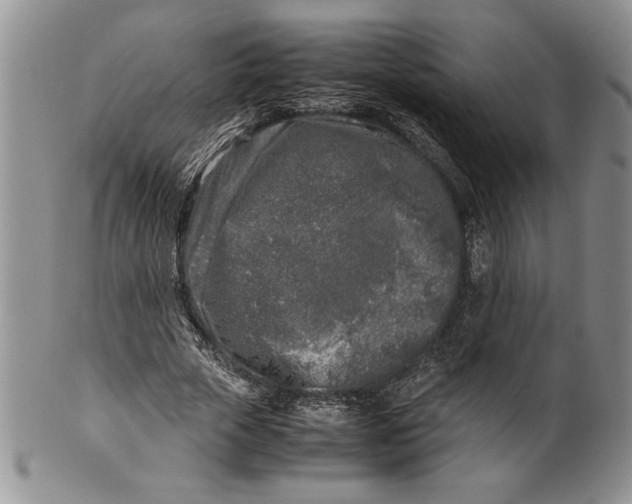 X0000099930729200806131402