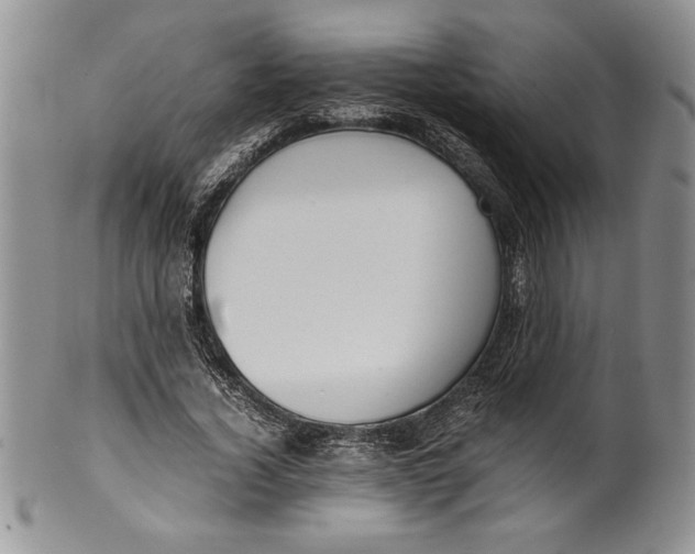 X0000099930732200806131402