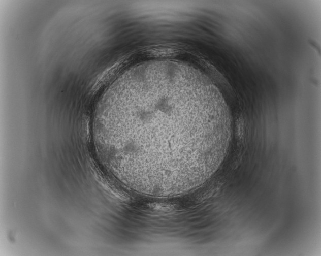 X0000099930733200806131402