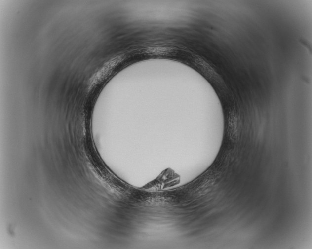 X0000099930734200806131402