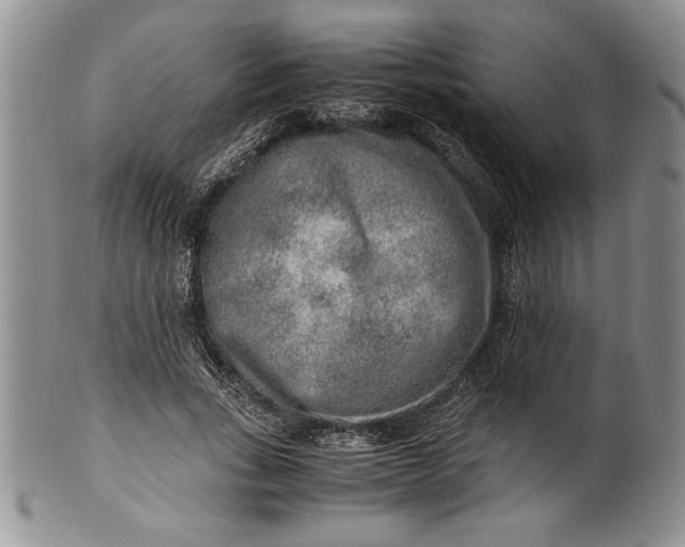 X0000099930735200806131402