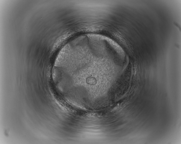 X0000099930736200806131402