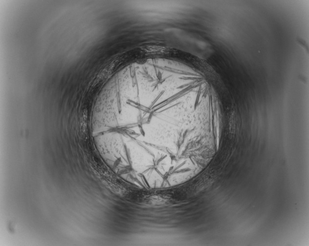 X0000099930737200806131402