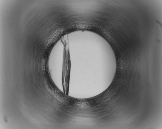 X0000099930738200806131402