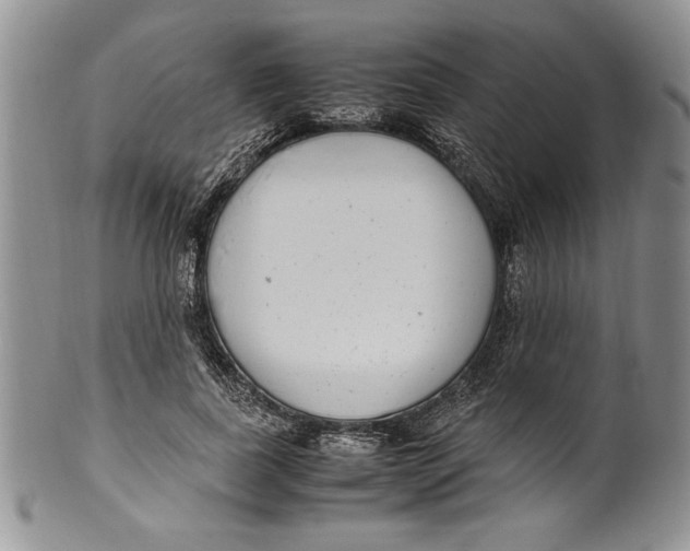 X0000099930739200806131402