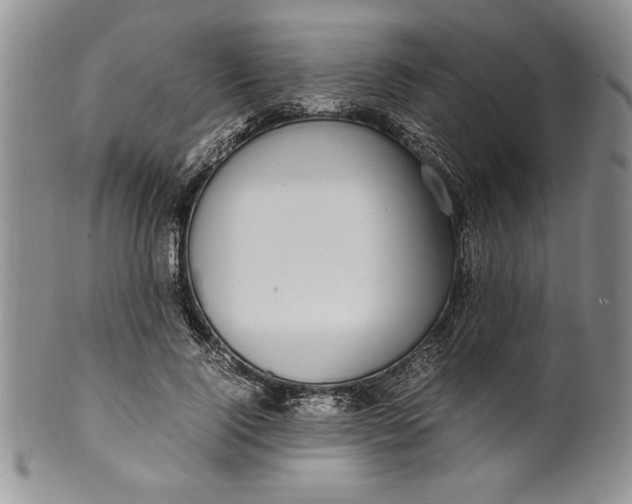 X0000099930740200806131402