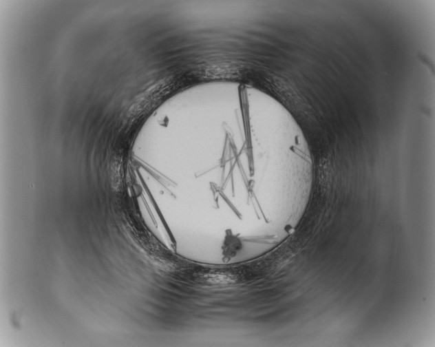 X0000099930741200806131402