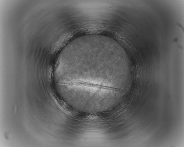 X0000099930742200806131402