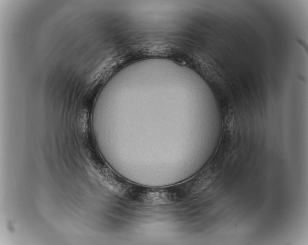 X0000099930744200806131402