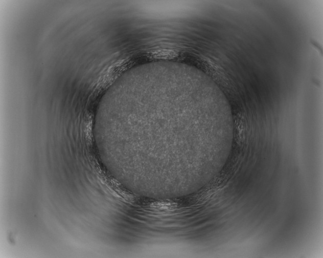 X0000099930745200806131402