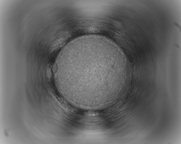 X0000099930746200806131402