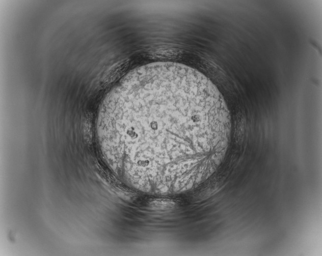 X0000099930749200806131402