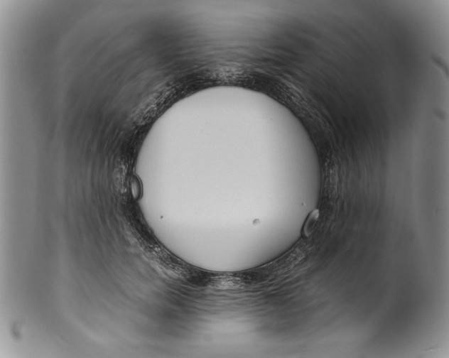 X0000099930750200806131402