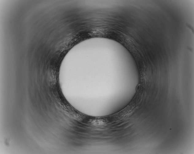 X0000099930751200806131402