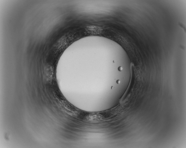 X0000099930752200806131402