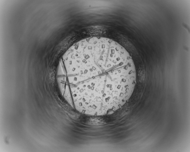 X0000099930753200806131402