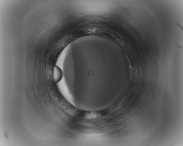 X0000099930754200806131402