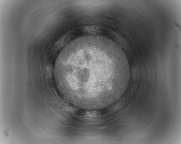 X0000099930757200806131402