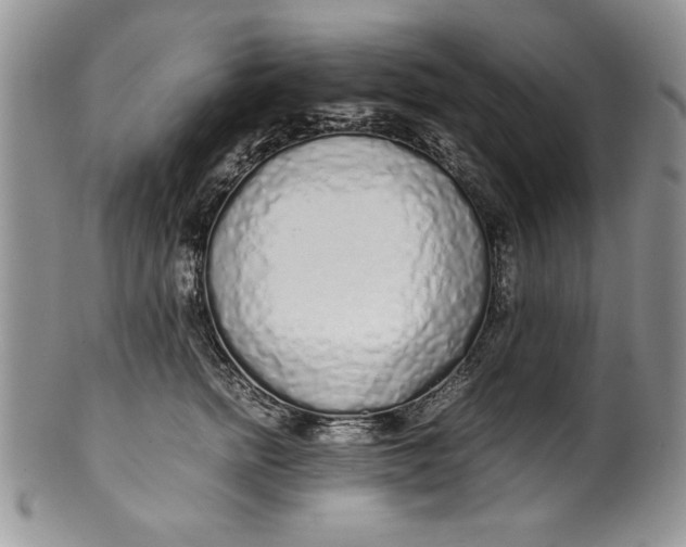 X0000099930758200806131402