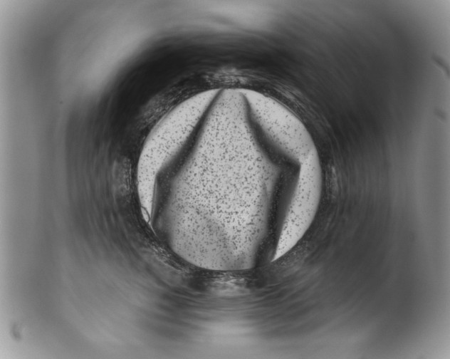 X0000099930760200806131402