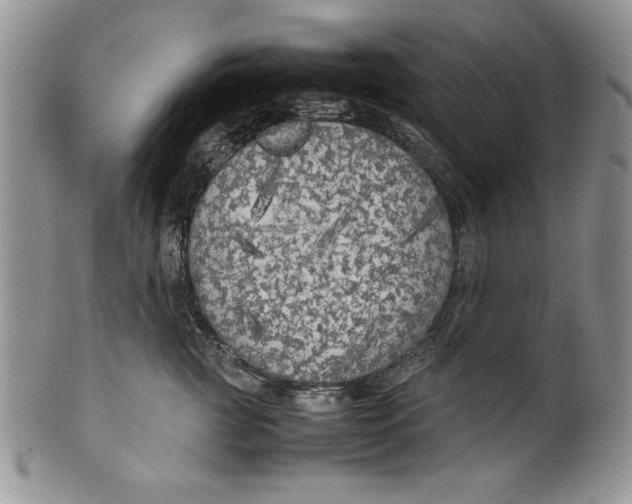 X0000099930761200806131402