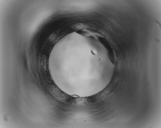 X0000099930762200806131402