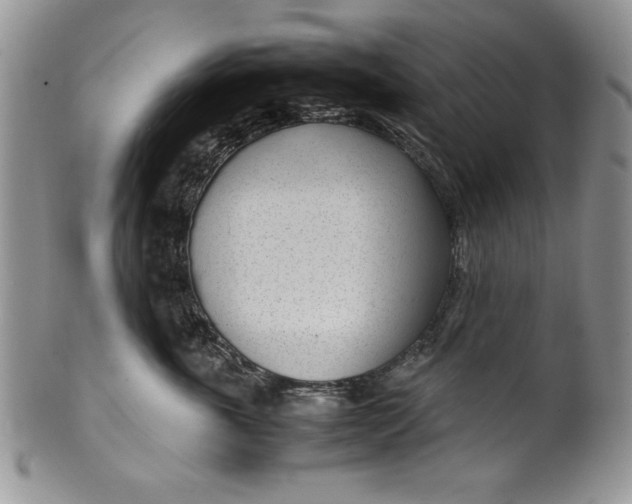 X0000099930763200806131402