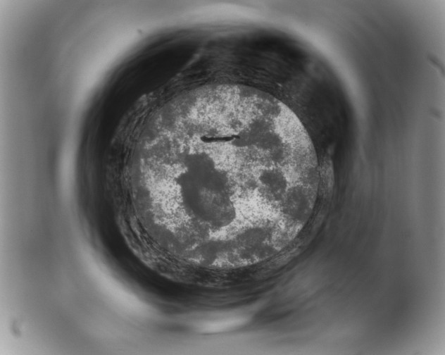 X0000099930765200806131402