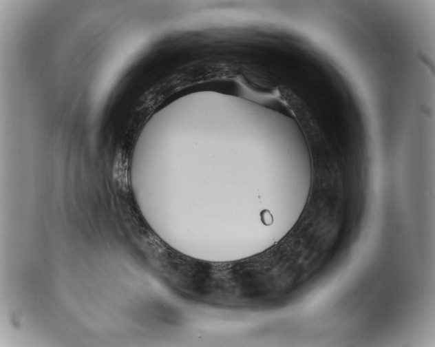 X0000099930766200806131402