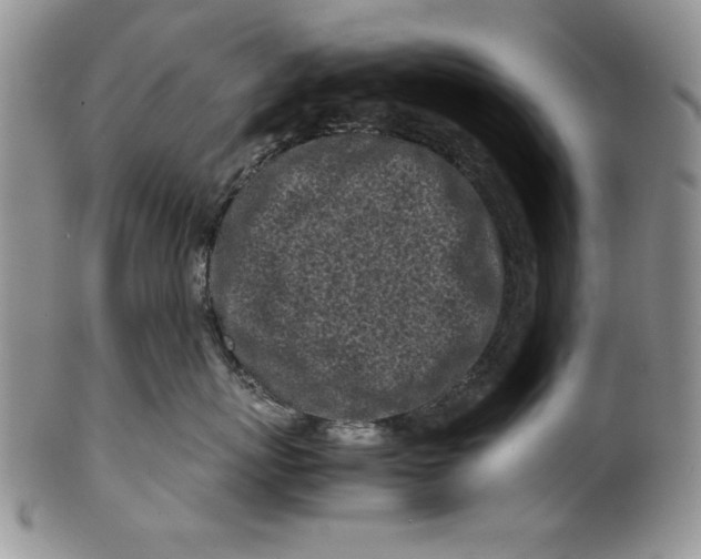 X0000099930767200806131402