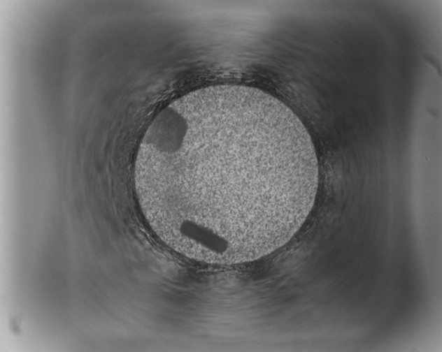 X0000099930769200806131402