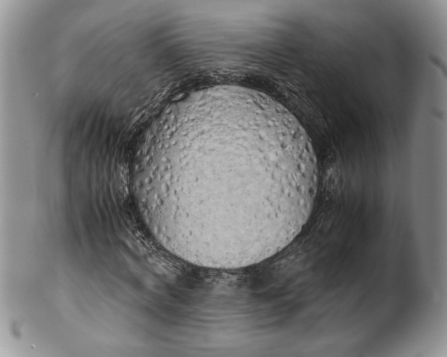 X0000099930772200806131402