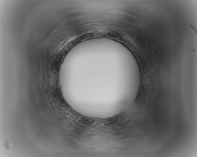 X0000099930773200806131402