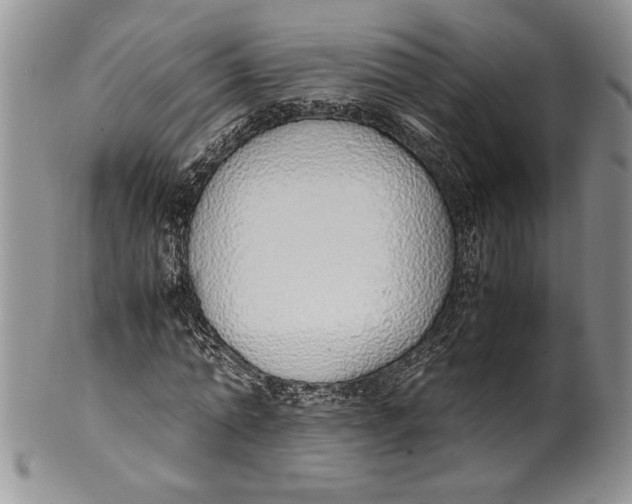 X0000099930774200806131402