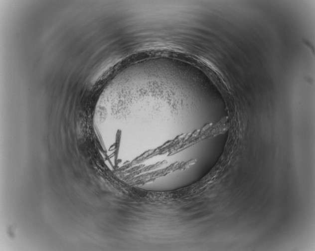 X0000099930775200806131402