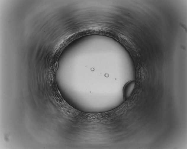 X0000099930776200806131401