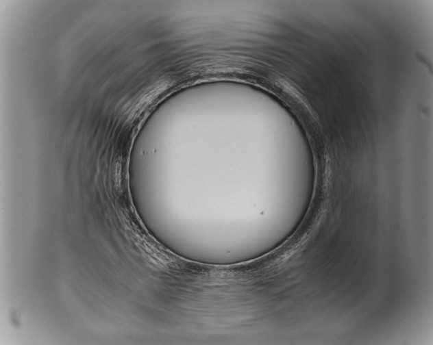 X0000099930777200806131401