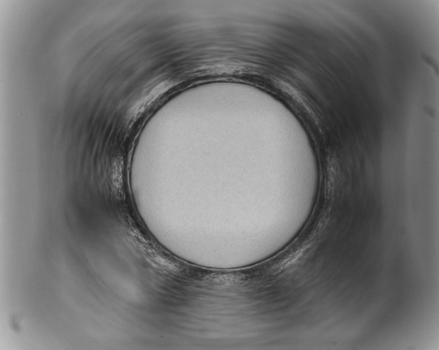 X0000099930778200806131401