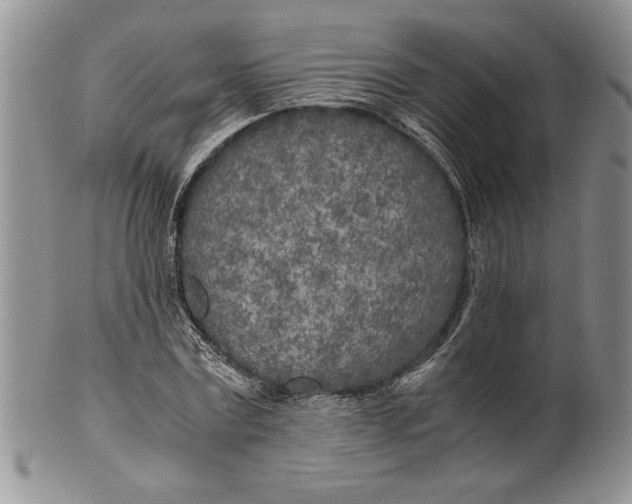 X0000099930779200806131401