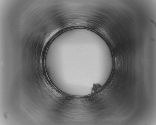 X0000099930780200806131401