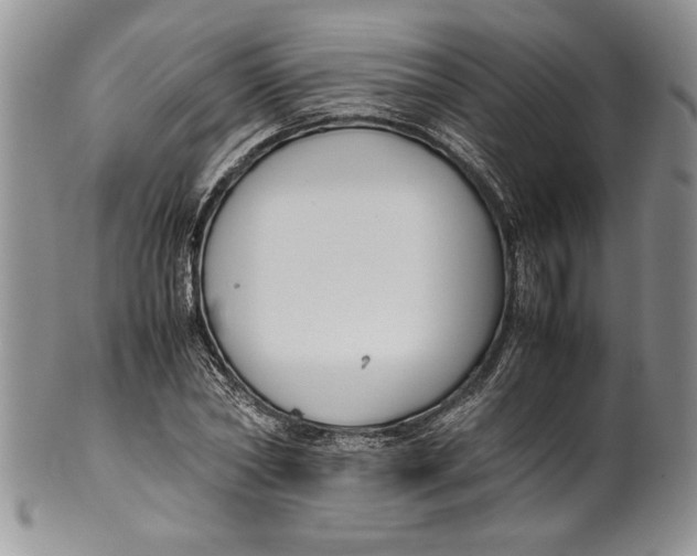 X0000099930782200806131401