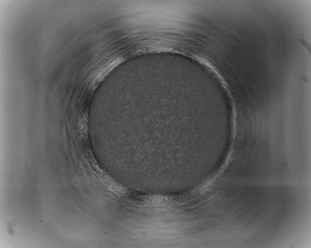 X0000099930785200806131401