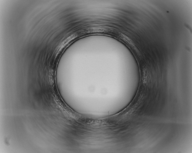 X0000099930786200806131401