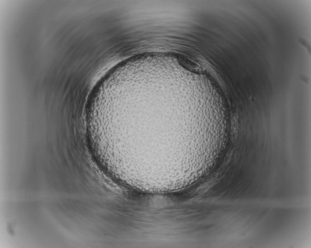 X0000099930787200806131401